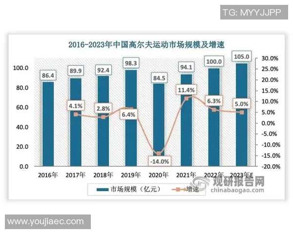 重庆排球队技术对比深度解析与未来发展趋势探讨