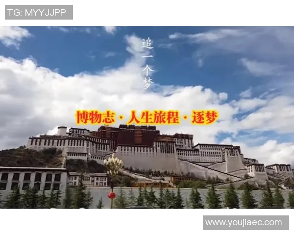 飞盘世界的追梦旅程：陈强分享他的飞盘生涯与心路历程