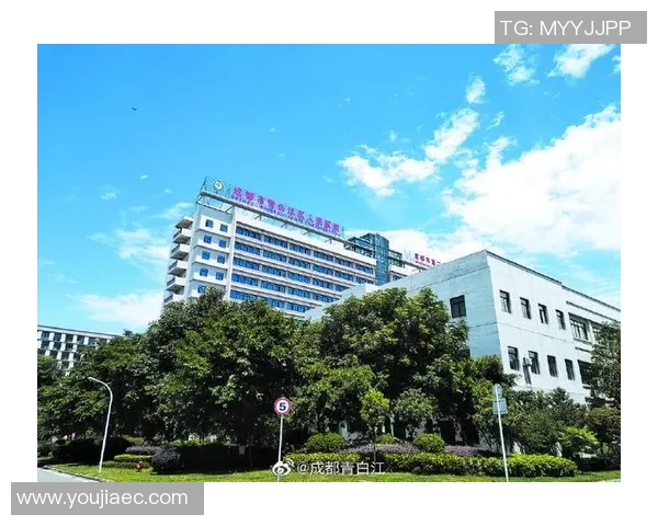 成都篮球队的奋斗历程与洲际杯荣耀之路全景回顾