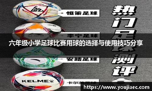 EBET易博真人官网